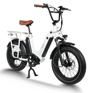 New Style Electric Bike 48v 750w Rear Motor Ebike 2 Wheel 20 Inch Fat Tire Electric Bicycle Cargo for beach