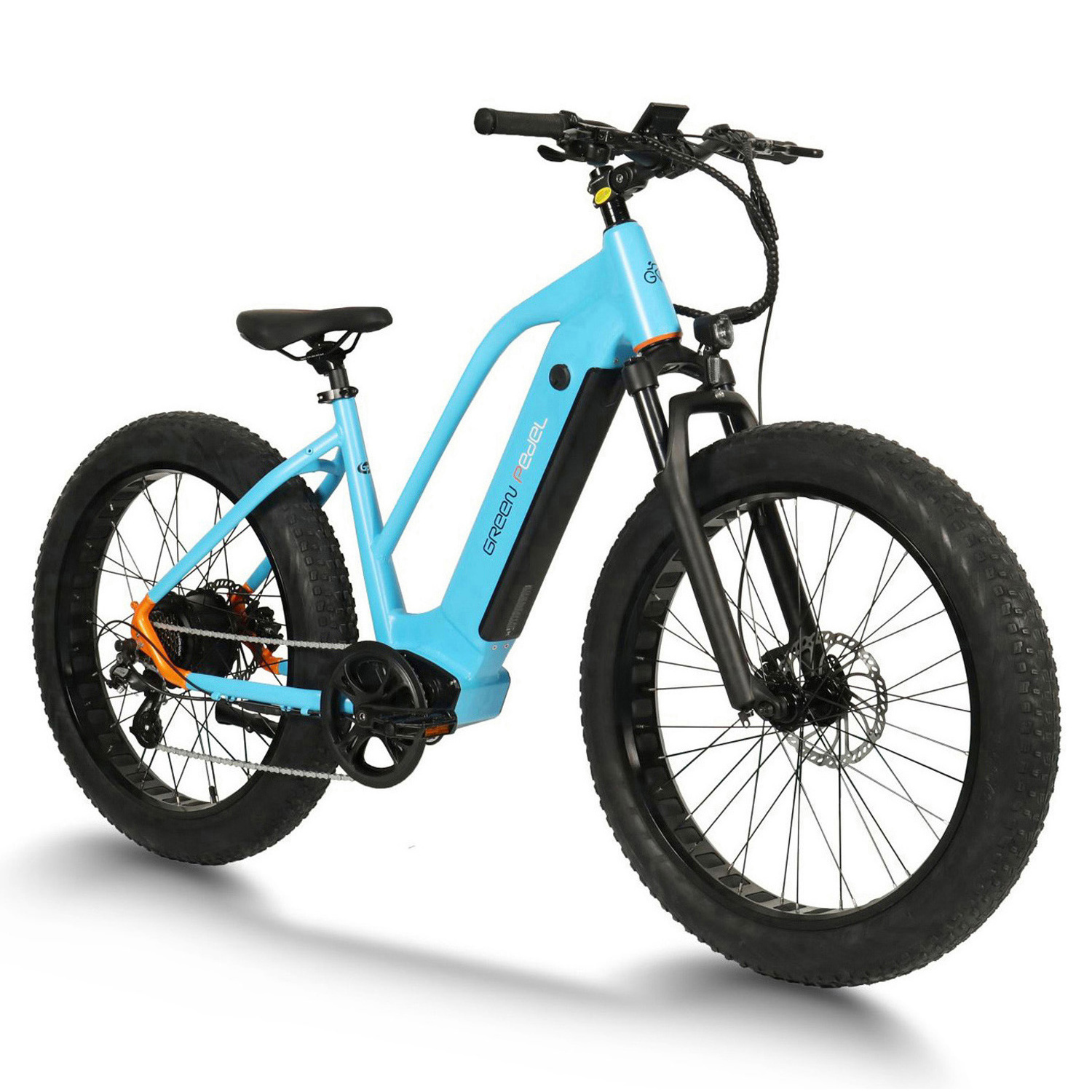 E Bike 750w 48v Pedal Assist Electric Bike Fat Electric Mountain Bike 20 Inch  oem odm Electric Bicycle Long Range For Adult