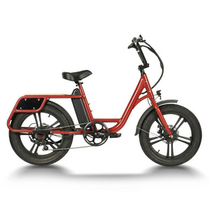 hot sale electric bicycle cargo 500w 750w electric fat tire bike for food delivery