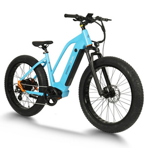 ebike fat tire 1000watt electric bicycle 48v 750w ebike full suspension frame for beach