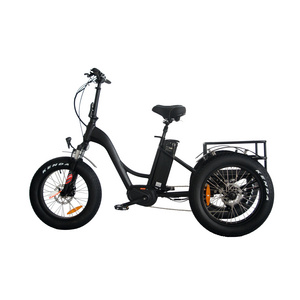 36V 250W bafang mid drive motor 3 wheel cargo ebike electric tricycle