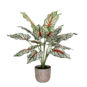 Artificial plants faux pampas plant artificial flowers artificial bonsai plant red Caladium for decoration