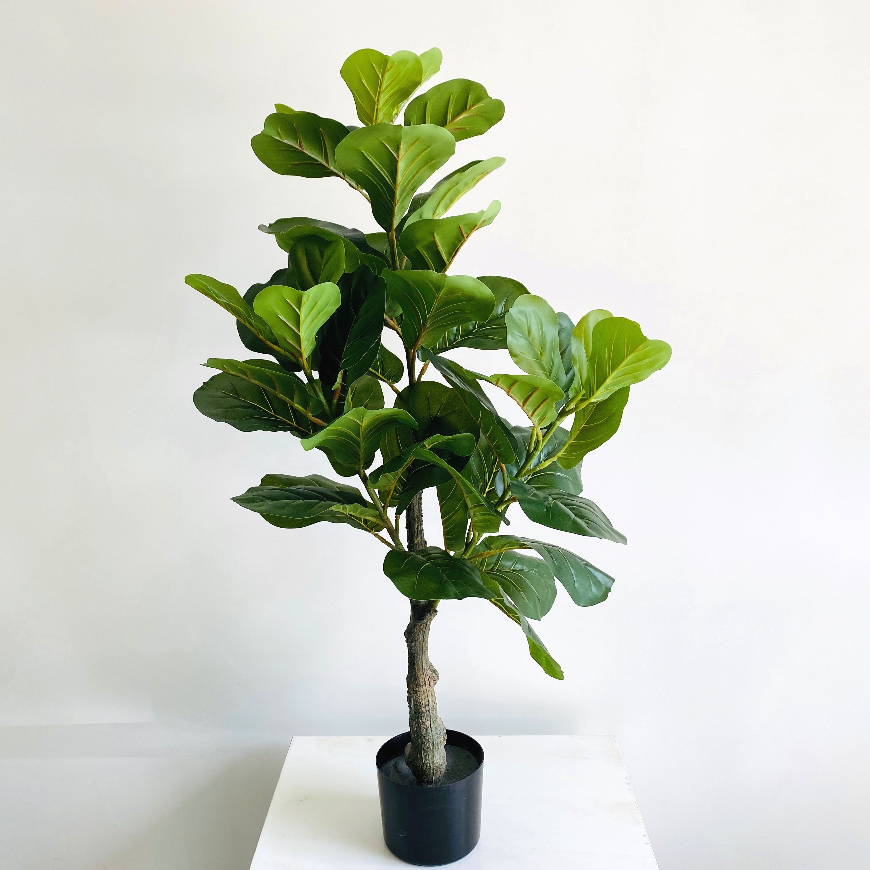 60cm 90cm 120cm 150cm 180cm 210cm Wholesale ficus lyrata banian tree excellent but cheap home artificial bonsai topiary trees