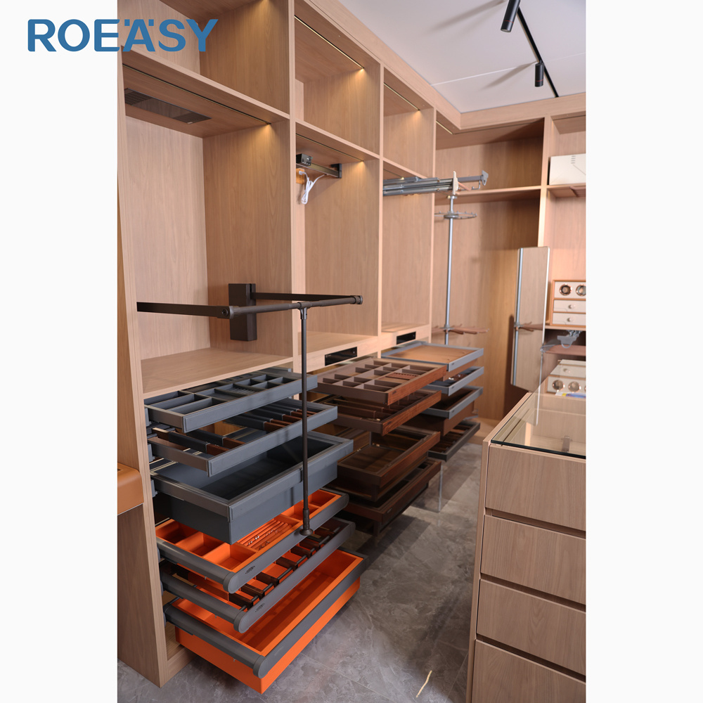 ROEASY Modern Fitted Design Clothes Wardrobe Bedroom Furniture Hardware Accessories Clothes Pant Jewelry Organizer For Wardrobes