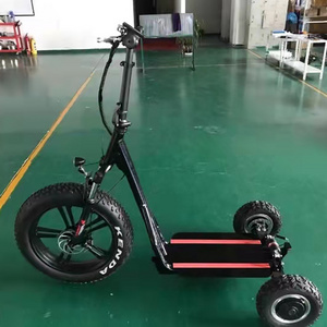 China 500W dual motor powerful two wheel 10 inch fat tire off road e scooter 3 wheels  adult electric scooter for sale