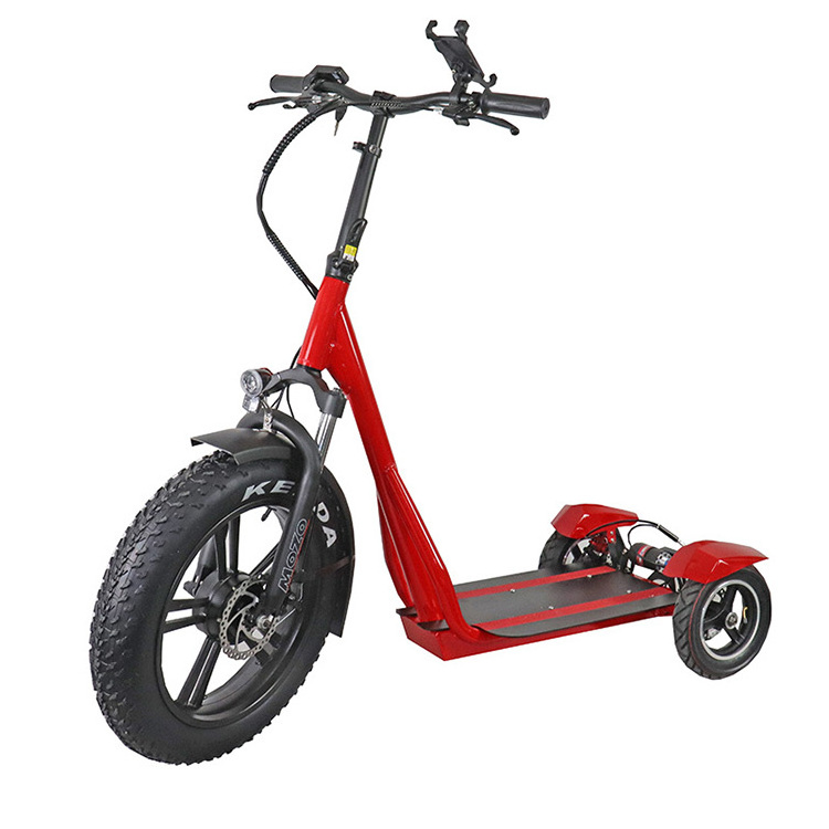 China 500W dual motor powerful two wheel 10 inch fat tire off road e scooter 3 wheels  adult electric scooter for sale