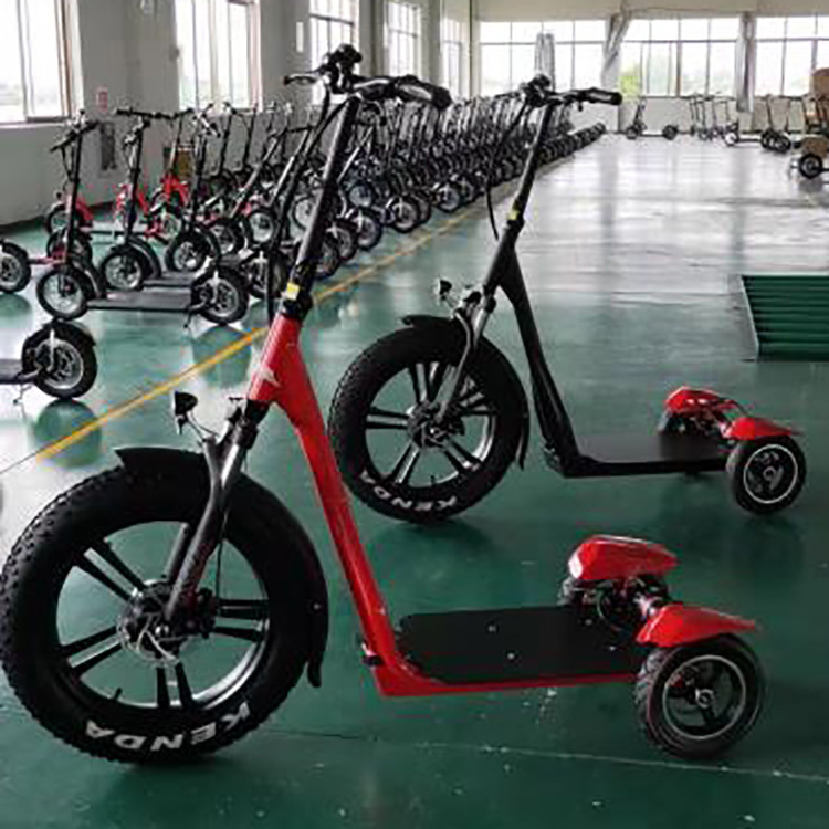 China 500W dual motor powerful two wheel 10 inch fat tire off road e scooter 3 wheels  adult electric scooter for sale