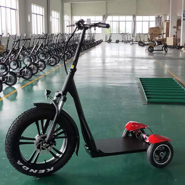 China 500W dual motor powerful two wheel 10 inch fat tire off road e scooter 3 wheels  adult electric scooter for sale