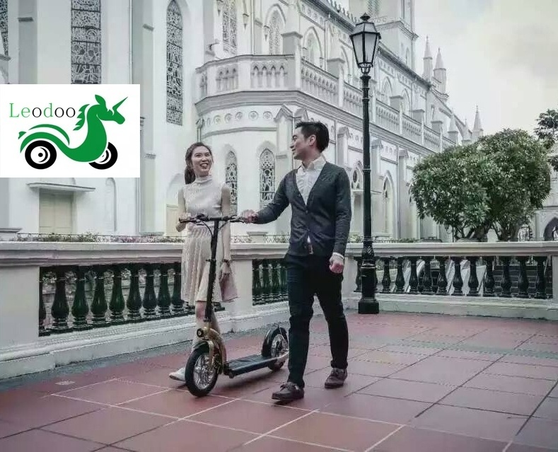 12 inch  folding mini electric scooter