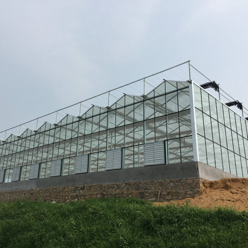 industrial commercial used glass greenhouse hydroponic system for sale