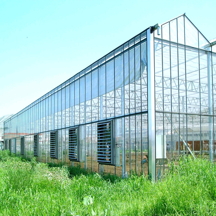 low cost venlo commercial agriculture greenhouse used glass multispan green house for sale