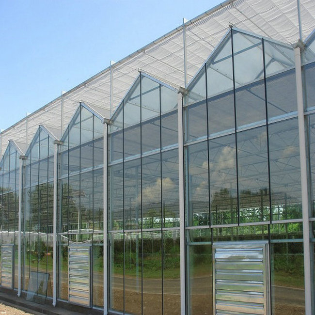 low cost venlo commercial agriculture greenhouse used glass multispan green house for sale