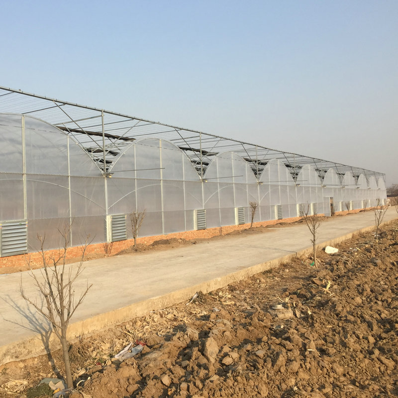 China plastic film greenhouse thermal insulation blanket in Uzbekistan