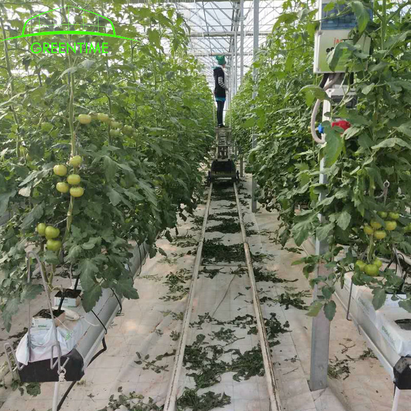 gutter support Used hydroponics tomato greenhouse  for sale