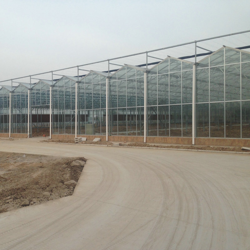 industrial commercial used glass greenhouse hydroponic system for sale