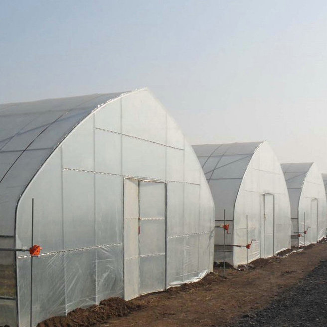 commercial galvanized steel frame greenhouse flower  kits garden used for sale