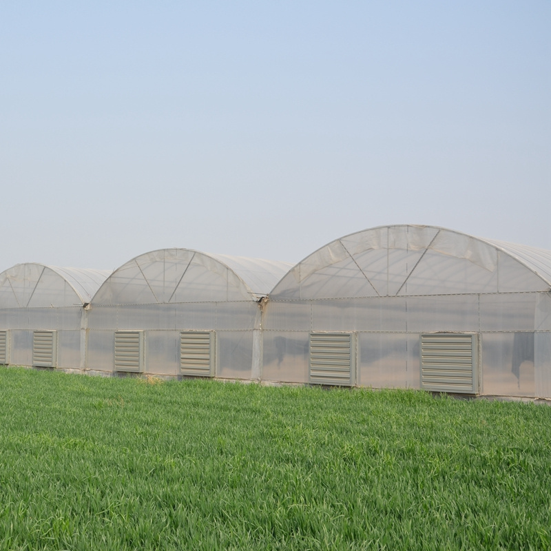 China plastic film greenhouse thermal insulation blanket in Uzbekistan