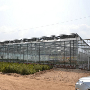 industrial commercial used glass greenhouse hydroponic system for sale