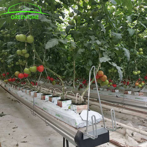 gutter support Used hydroponics tomato greenhouse  for sale