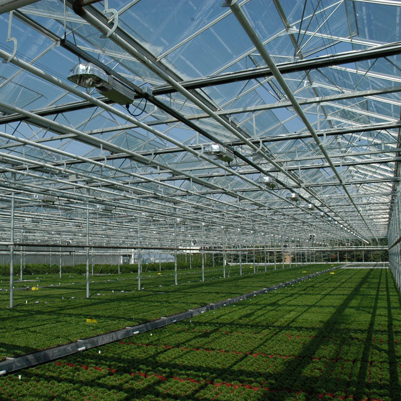 industrial commercial used glass greenhouse hydroponic system for sale