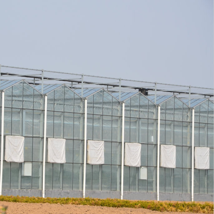 low cost venlo commercial agriculture greenhouse used glass multispan green house for sale