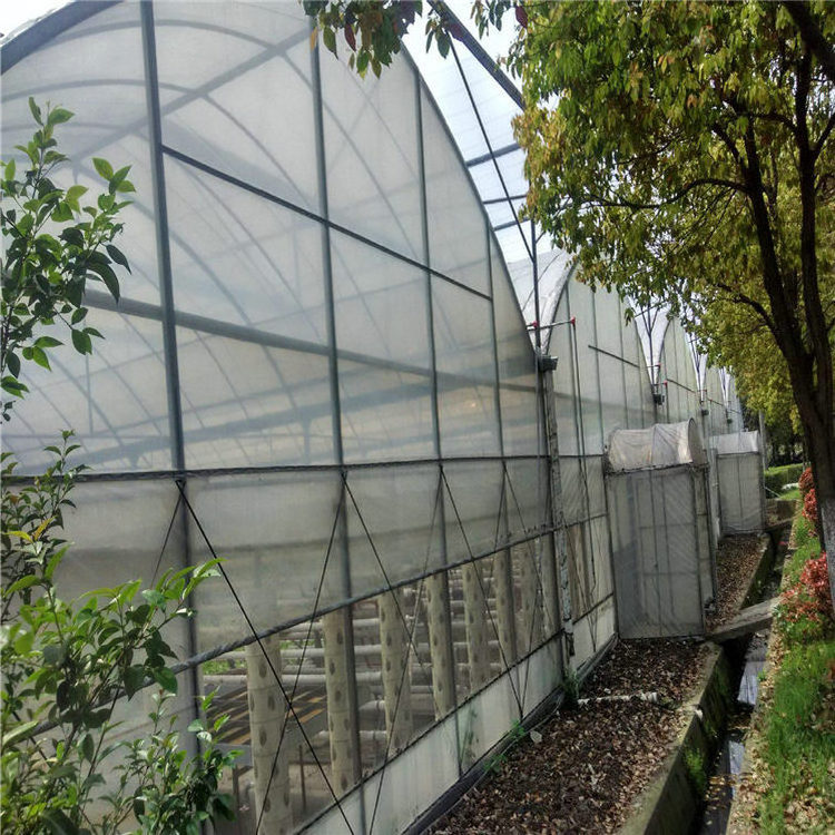 China plastic film greenhouse thermal insulation blanket in Uzbekistan