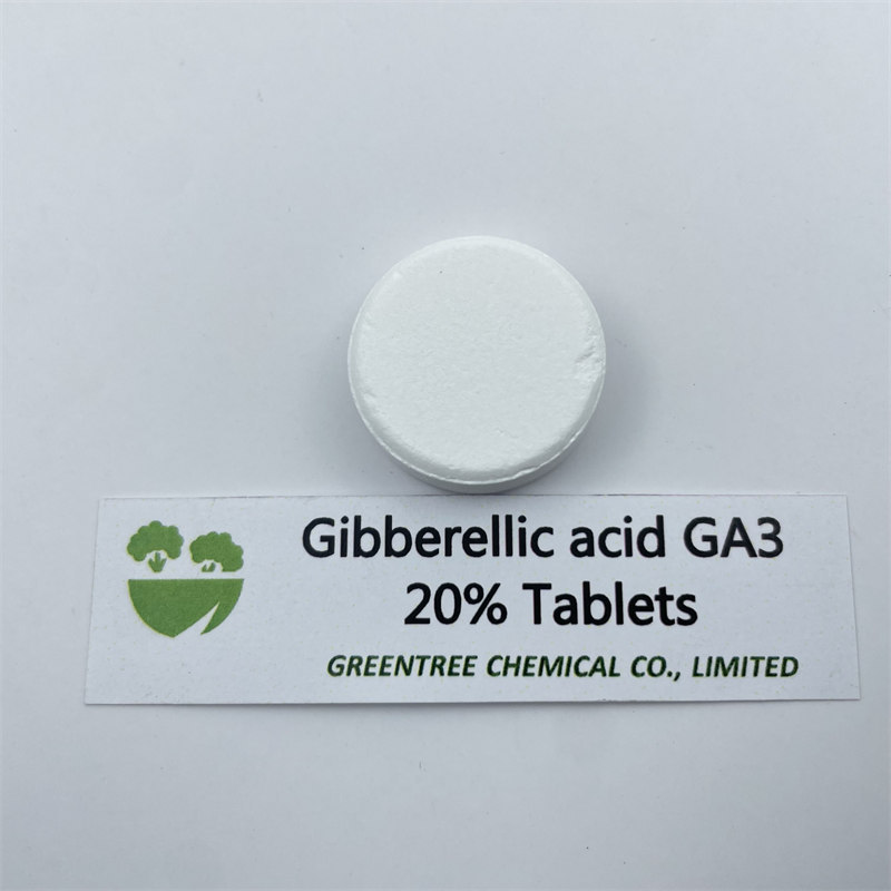 CAS No. 77-06-5 Plant Growth Regulator Gibberellin GA3 20% Tablets Foliar Spray Fertilizer