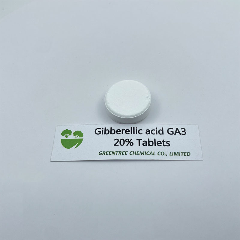 CAS No. 77-06-5 Plant Growth Regulator Gibberellin GA3 20% Tablets Foliar Spray Fertilizer