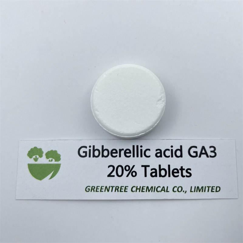 CAS No. 77-06-5 Plant Growth Regulator Gibberellin GA3 20% Tablets Foliar Spray Fertilizer