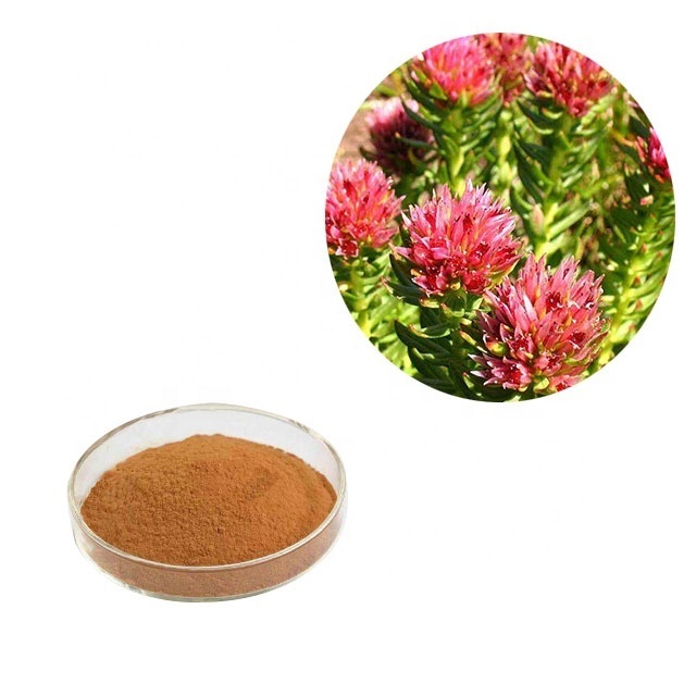 High quality pure rhodiola roses extract powder