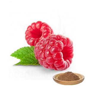 Hot sale Pure Raspberry Extract Powder 10:1