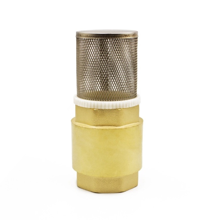 Brass swing check valve, low pressure check valve,brass foot valve 1/2