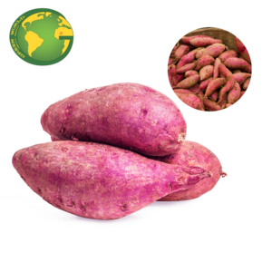 PROMPTLY DELIVERY FROZEN SWEET POTATO - PREMIUM QUALITY SWEET POTATO FROZEN FROM VIETNAM - BEST SELLERS IN THIS MONTH