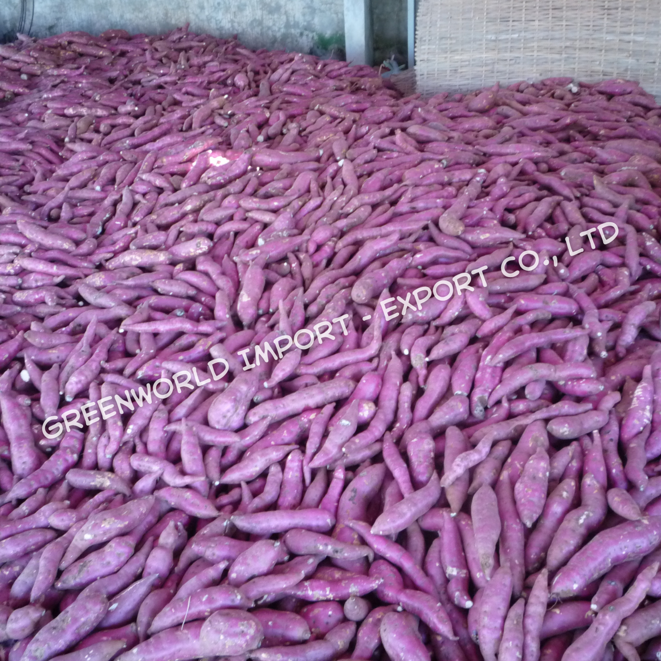 PROMPTLY DELIVERY FROZEN SWEET POTATO - PREMIUM QUALITY SWEET POTATO FROZEN FROM VIETNAM - BEST SELLERS IN THIS MONTH