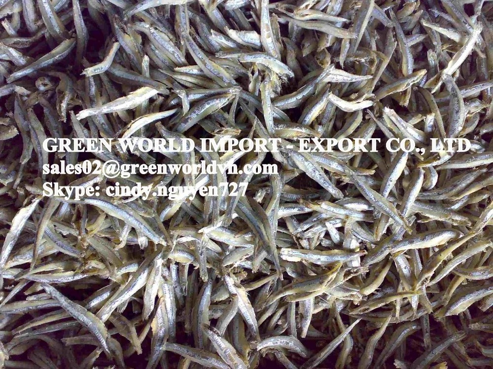 BEAUTIFUL DRIED ANCHOVY WITH BEST PRICE