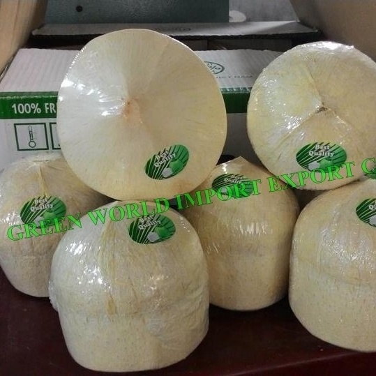 FRESH NATURAL COCONUT: FROZEN YOUNG COCONUT WATER - EXCELLENT TO EXPORT