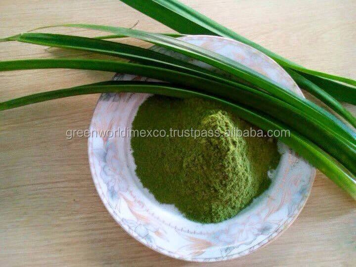 Pure & Organic Pandan Leaf Extract Powder from VIETNAM - with Premium Quality and Best Price