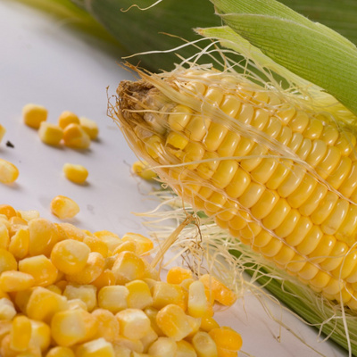 IQF FROZEN SWEET CORN WHOLE OR KERNEL - NATURAL SWEET CORN FOR FOOD - PREMIUM QUALITY AND BEST PRICE FOR SWEET CORN FROM VIETNAM