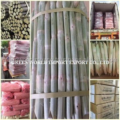 FROZEN SUGAR CANE FROM VIETNAM- DELICIOUS, HIGH QUALITY AND  NATURAL SWEET WITH NO ADDITIVE