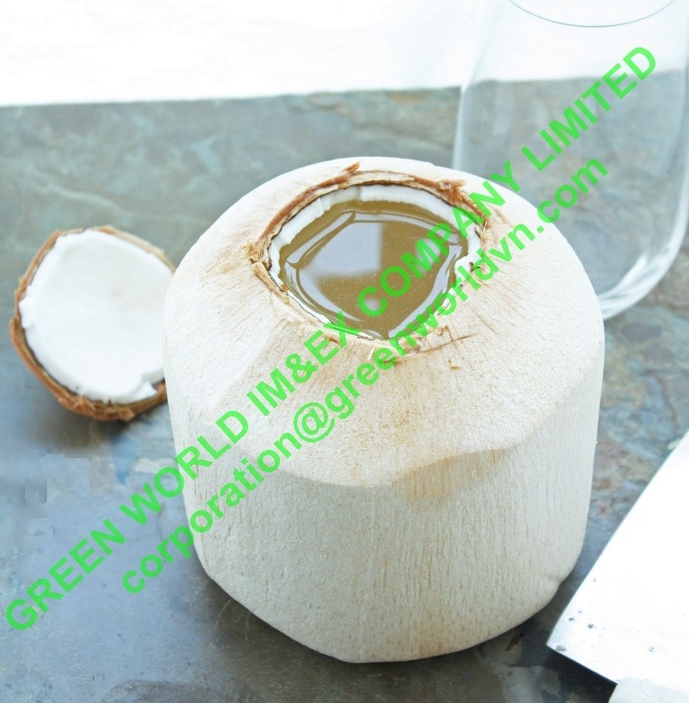 FRESH NATURAL COCONUT: FROZEN YOUNG COCONUT WATER - EXCELLENT TO EXPORT