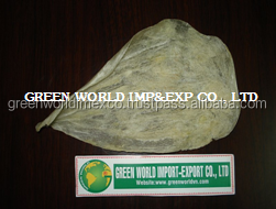 MOST COMPETITIVE PRICE DRIED CAT FISH MAW (Small Tube type)