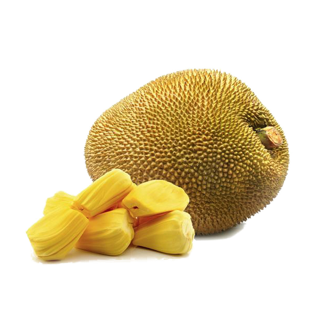 HIGH QUALITY,  COMPETITIVE PRICE, AND BEST SERVICE!!!! - FROZEN JACK FRUIT FROM VIETNAM EVER