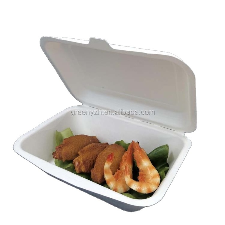 Eco Friendly Biodegradable Disposable Bagasse Lunch Box Packaging 9x6 Inch lunch box for takeaway food