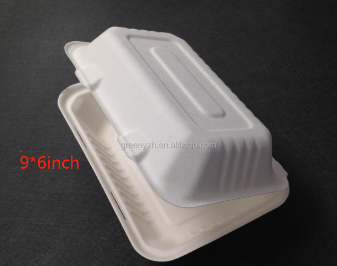 Eco Friendly Biodegradable Disposable Bagasse Lunch Box Packaging 9x6 ...