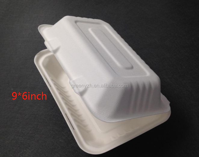 Eco Friendly Biodegradable Disposable Bagasse Lunch Box Packaging 9x6 Inch lunch box for takeaway food