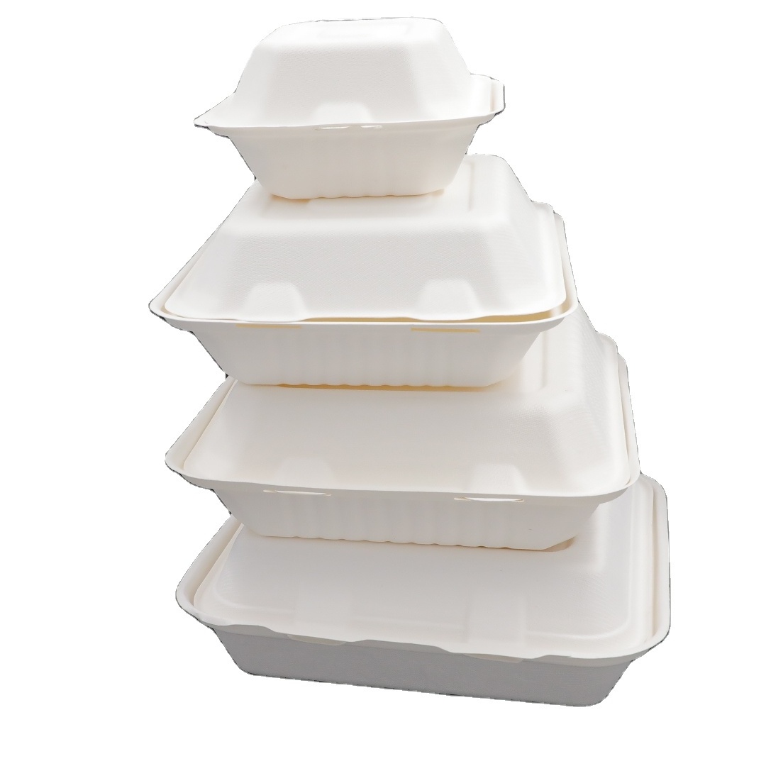 Eco Friendly Biodegradable Disposable Bagasse Lunch Box Packaging 9x6 Inch lunch box for takeaway food