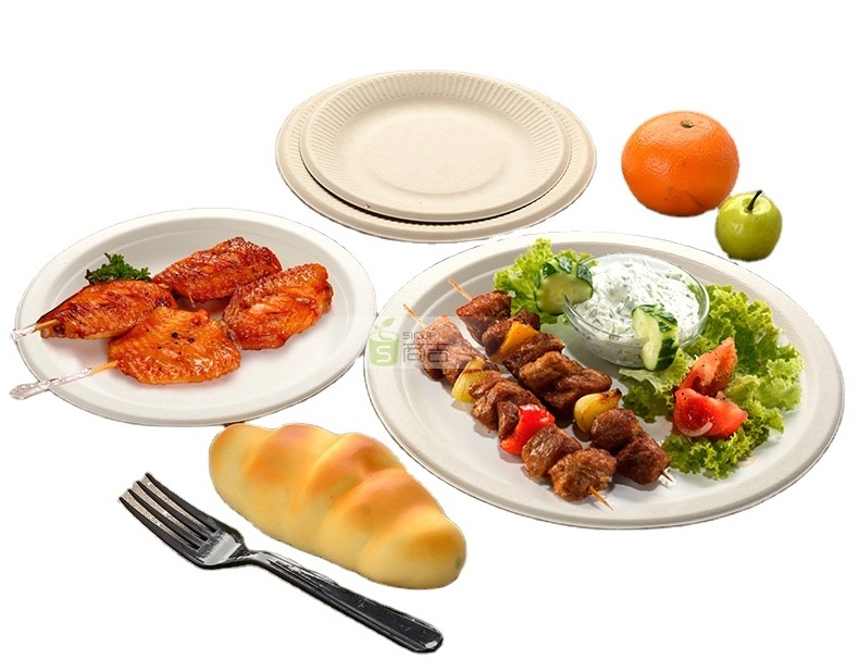 Food Grade Sugarcane Bagasse Disposable Plates Sugar Cane Bamboo Paper Pulp Party Dishes