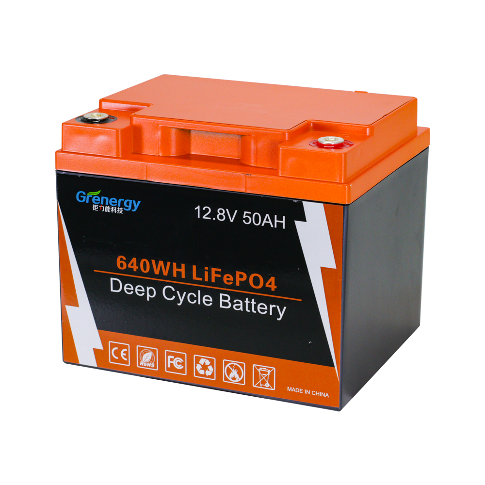 Shenzhen smart factory rechargeable 12 volt 50 amh lithium ion batteries with bms lifepo4 battery