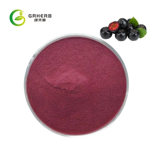 Supply Factory Price Aronia Chokeberry Extract Aronia Berry Extract Powder