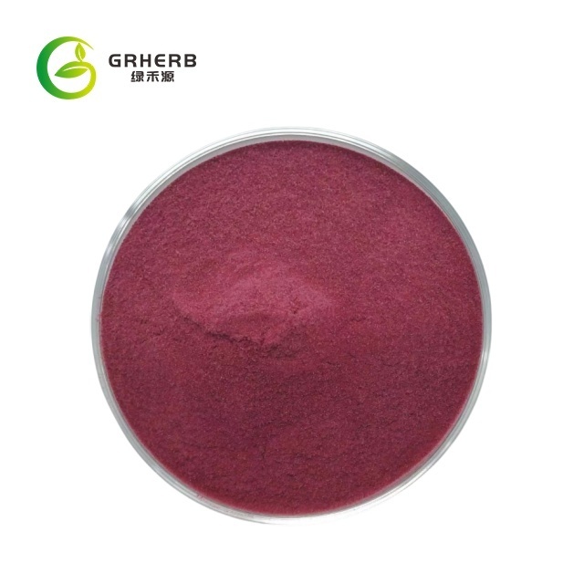 Supply Factory Price Aronia Chokeberry Extract Aronia Berry Extract Powder